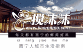 西宁最新爆料,揭秘城市蜕变背后的故事
